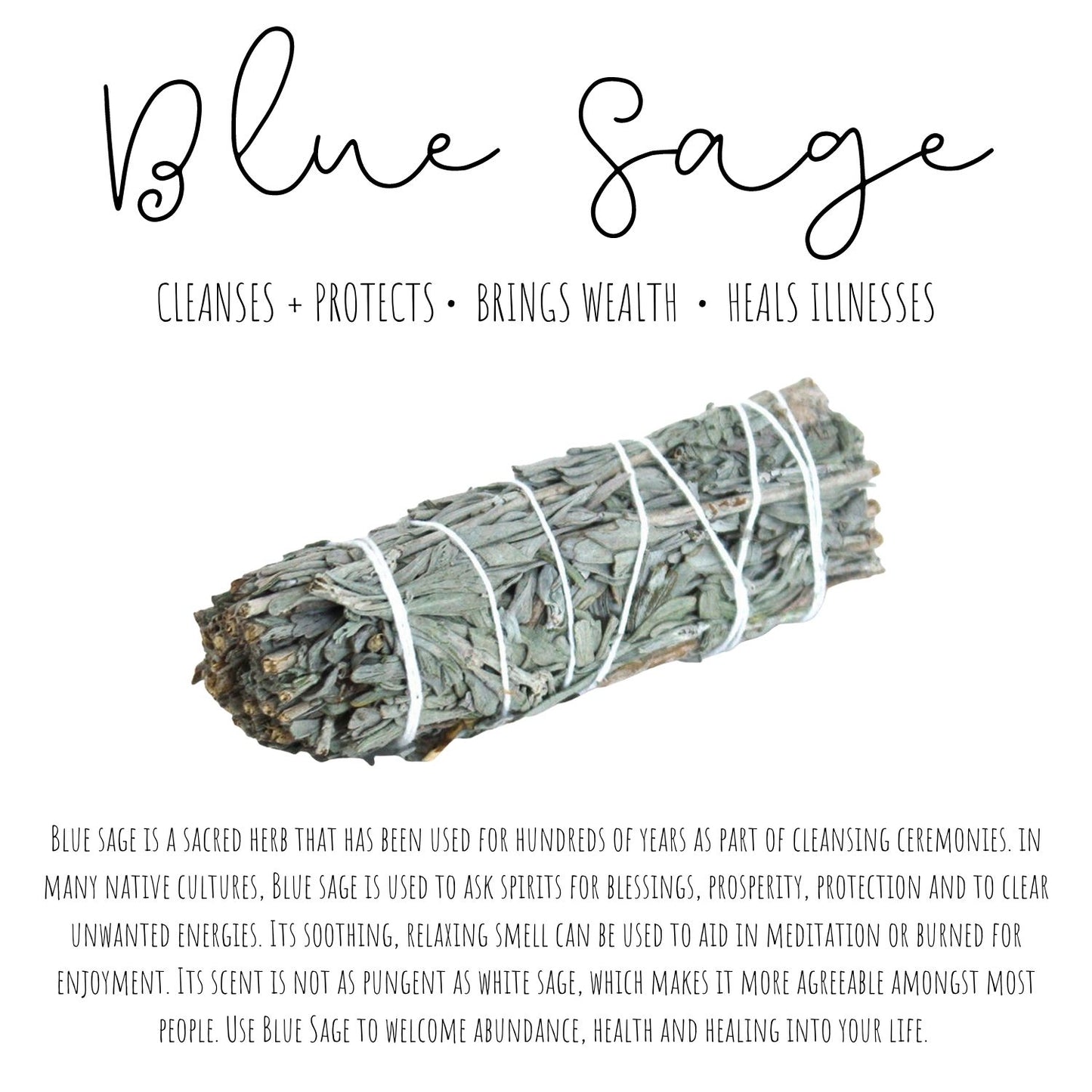 Blue Sage